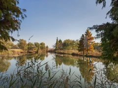 -泗洪洪泽湖湿地景区