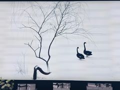 -BLACKSWAN黑天鹅(环球店)