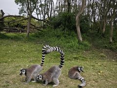 -宁波野生动物园