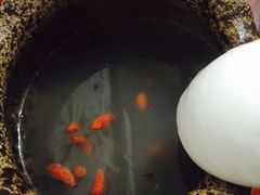 -九华山友谊土菜馆 小资餐厅