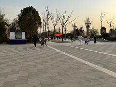 -商丘市人民公园