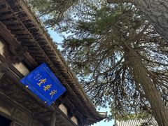 -雁门关景区