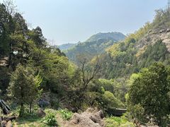 -泰山风景名胜区