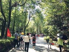 -石燕湖生态旅游景区