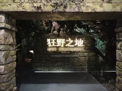 -浙江自然博物院(杭州馆)