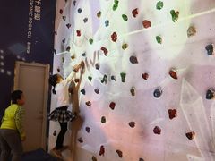 -中国宋庆龄青少年科技文化交流中心