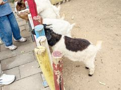 -西部长青自然儿童乐园