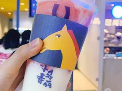 -春丽小马(济南恒隆广场店)