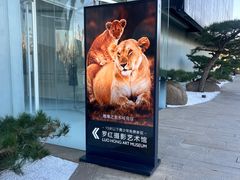 -罗红摄影艺术馆