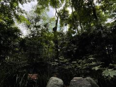 -青城道汤池