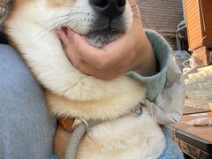 -趣小咖(溪悦荟店)