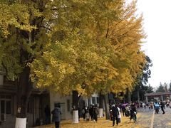 -四川大学(华西校区)