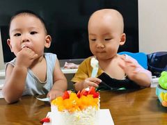 -咖咖熊蛋糕定制·英国蓝风车动物性淡奶油