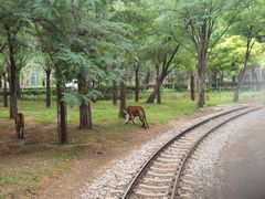 -秦皇岛野生动物园