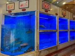-阿一鲍鱼·20年匠心传承(天河北旗舰店)