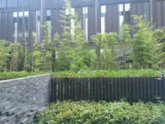 -上海崇明金茂凯悦酒店