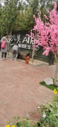 -爱儿美儿童摄影(五路居花园别墅店)