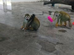 -西安秦岭野生动物园