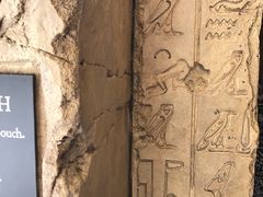 -木乃伊复仇过山车