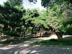 -沈阳中山公园