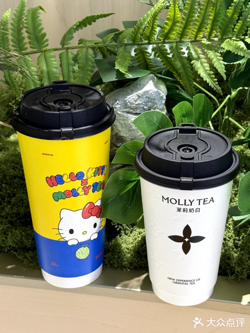 今天的情绪价值是茉莉奶白给的