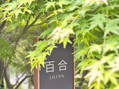 -莫干山郡安里度假酒店-桃尖中餐厅