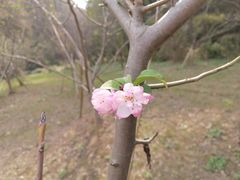 -同里国家湿地公园
