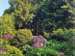 -乌山风景区