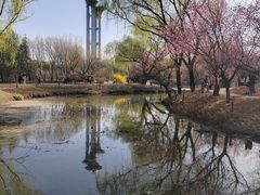 -北京奥林匹克公园
