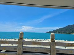 -小海豚•老字号海鲜餐厅(天涯店)