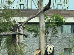 -武汉动物园