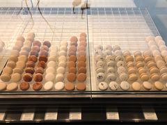 -BLACKSWAN黑天鹅(环球店)