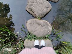 -杭州植物园