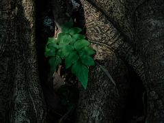 -山城巷传统风貌区