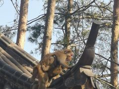 -千岛湖东南湖区