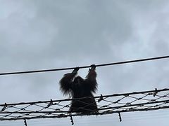 -上海野生动物园
