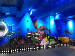 -船奇蒸汽海鲜·闽菜(八市海鲜总店)