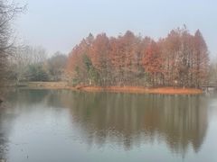 -梁鸿国家湿地公园