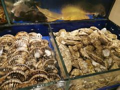 -高佳庄·舟山海鲜(海景旗舰店)