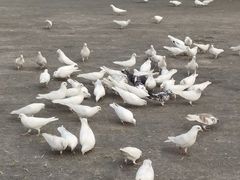 -上海交通大学(闵行校区)