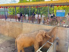 -西霞口神雕山野生动物世界