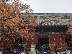 -香山公园-东宫门售票处