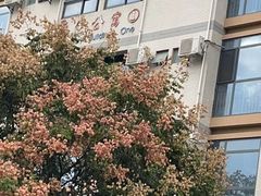 -西安外国语大学(长安校区)