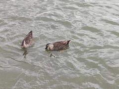 -海珠湖公园