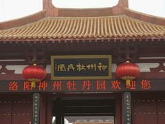 -神州牡丹园