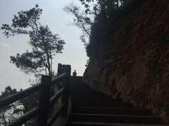 -羚羊峡古栈道森林公园