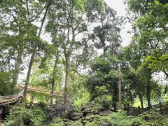 -都江堰普照寺