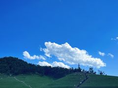 -关山草原