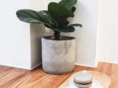 -Onirii Coffee(长乐路店)