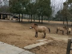 -杭州野生动物世界